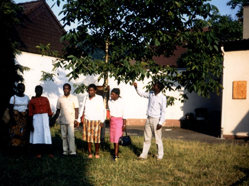 delegation 1991